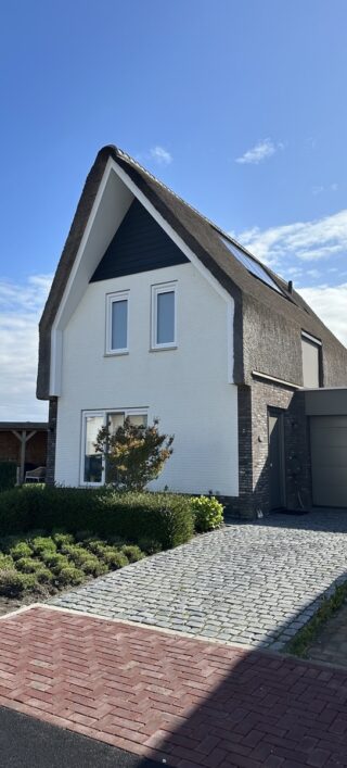 Rietpluimen Fase 1B 5