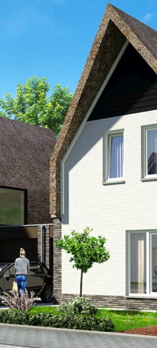 Rietpluimen Fase 2 6